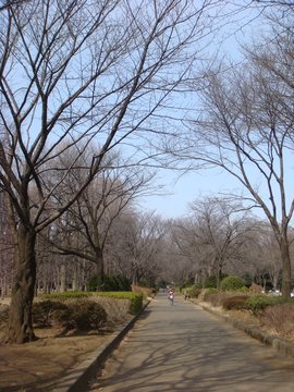 小金井公園